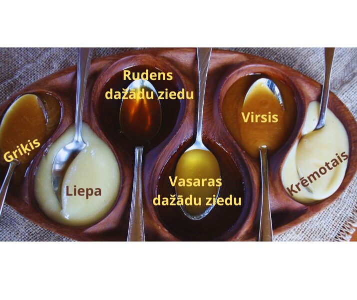 Medus - 750g